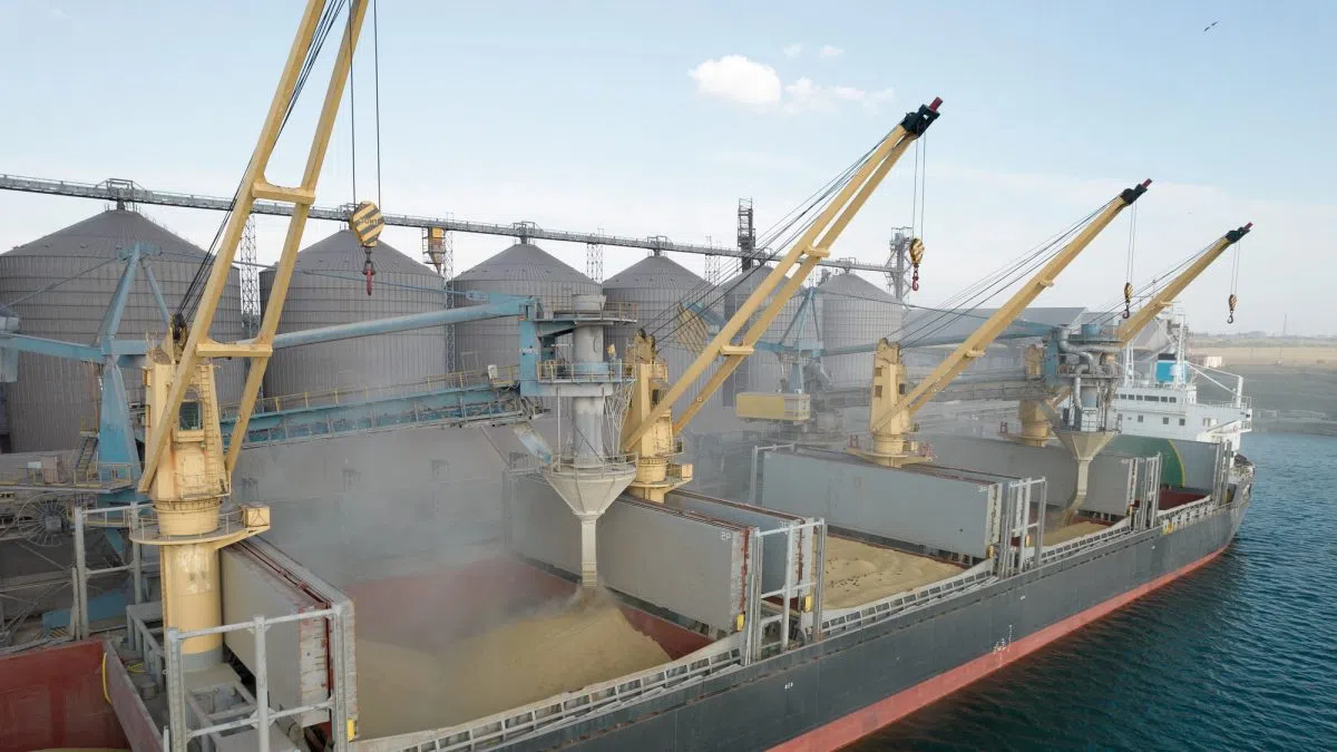 U.S. Wheat Associates celebrates USDA announcement of export market development funding