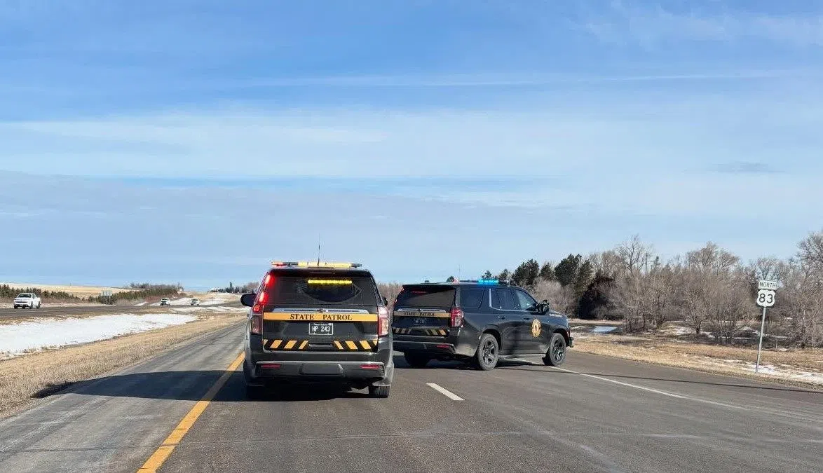 Traffic stop ends with driver shooting himself