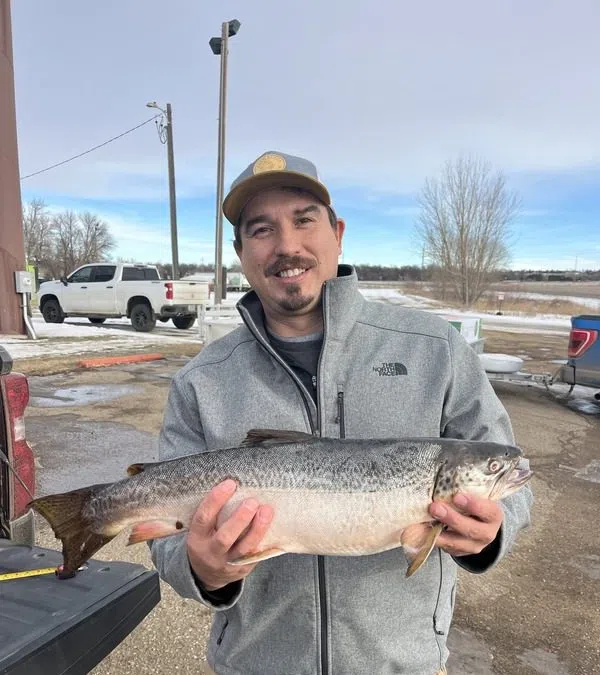 Angler Lands Record Tiger Trout