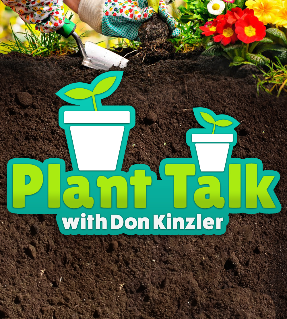 KFGO Plant Talk Don Portrait