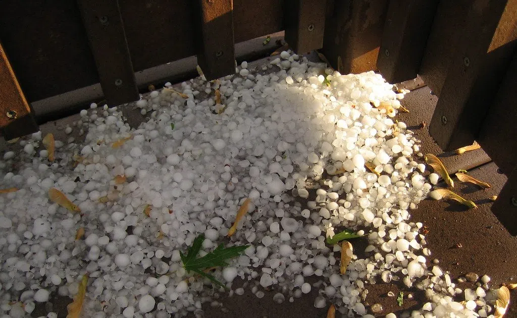 Video Capture Grapefruit-sized Hail Smashing Car Windows In Canada | Y94