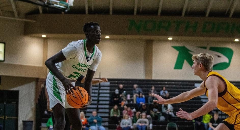 Fighting Hawks Win Sixth Straight, Run Past Concordia 87-56 - Vimarsana News