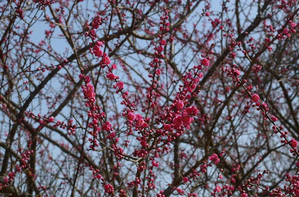 Spring Cleaning Is Just Around The Corner - Vimarsana News