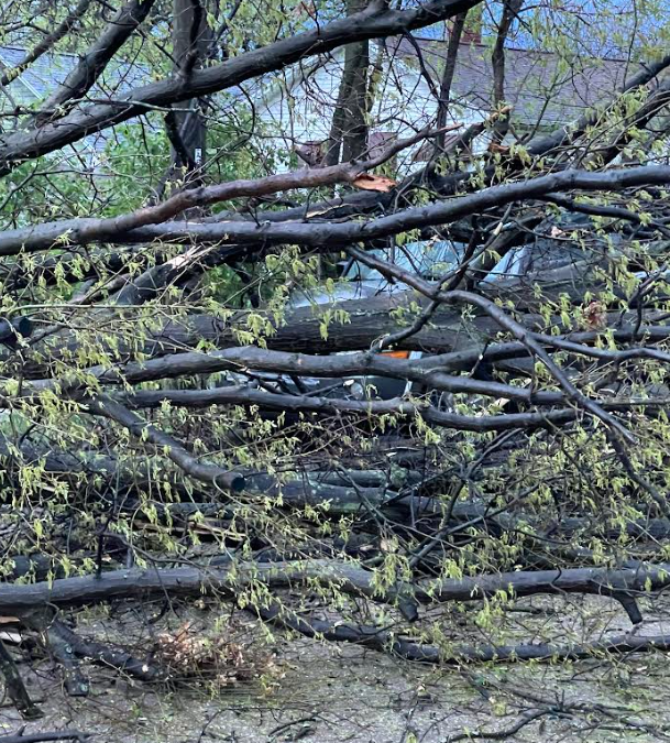 Storm Damage Keeping Area Roads Closed - Vimarsana News