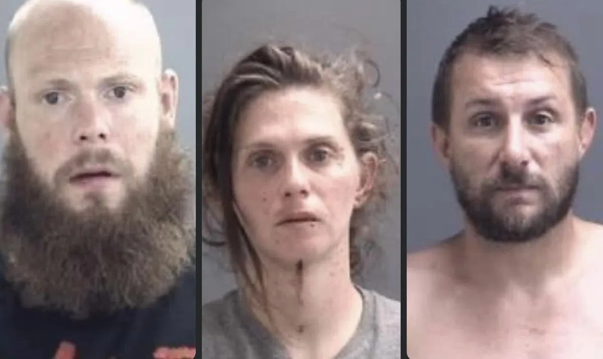 Three People Arrested At Liquor Store | 104.1 WIKY | Adult Contemporary  Radio