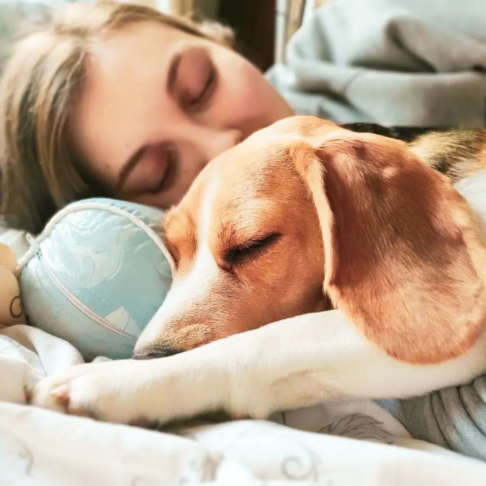 The Many Benefits of Sleeping With Your Dog