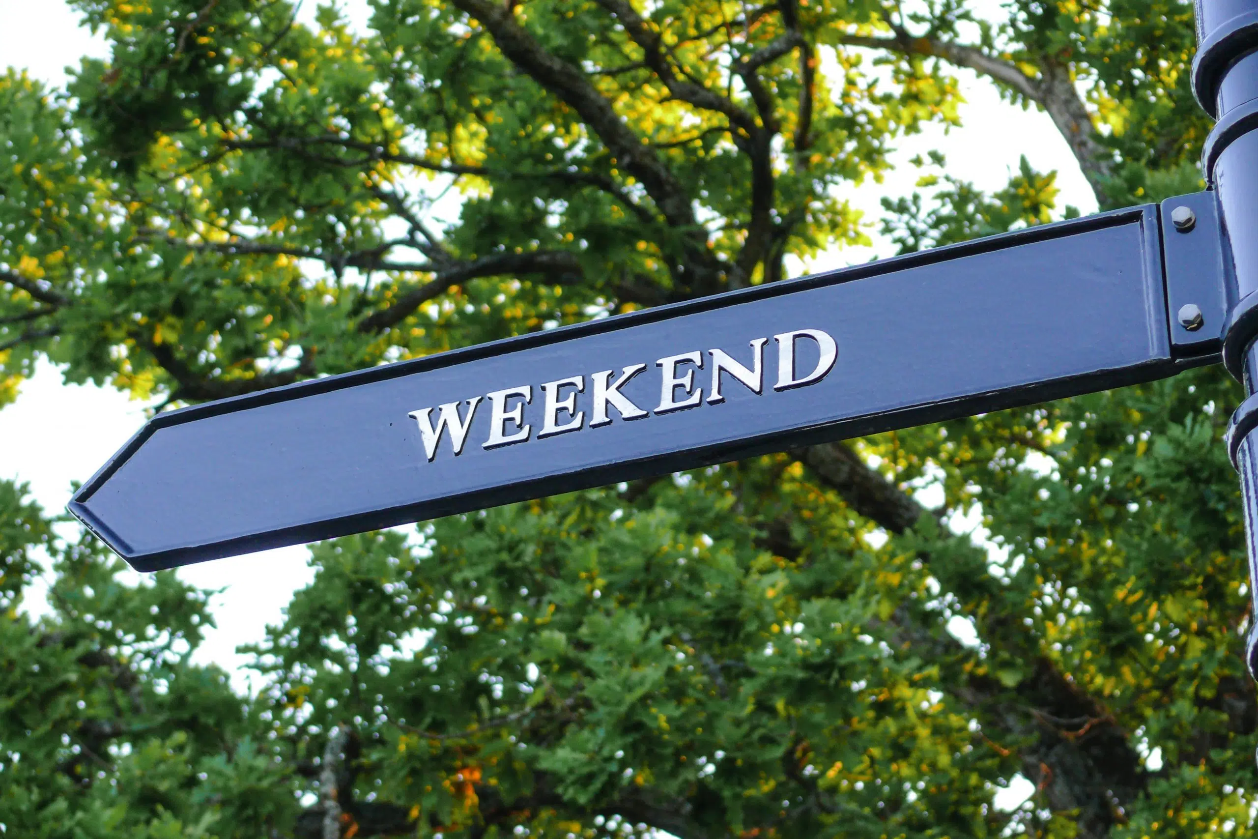 The Weekender - 3 Things To Do Around The Region