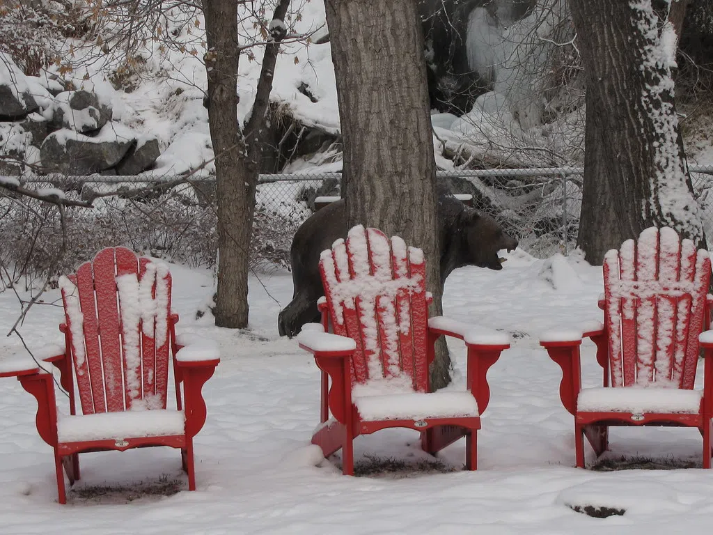 It's freakin' winter so you might as well enjoy it: Top 10 Hiking Spots in Muskoka