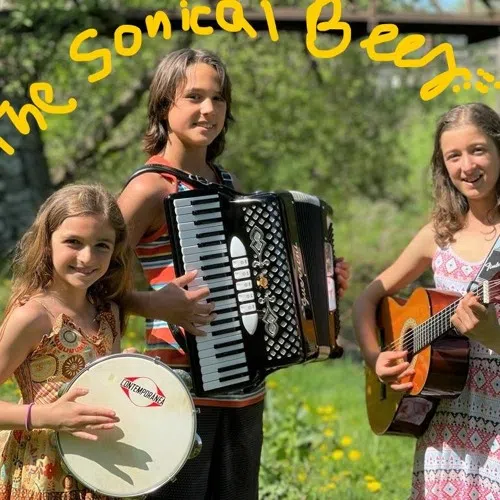 The Sonical Bees