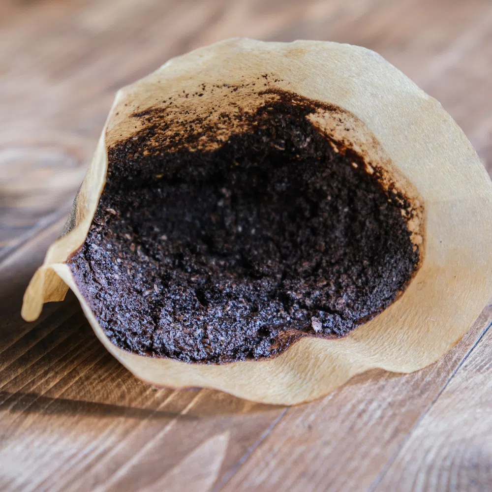 Household Items You Should Never Wash Down the Drain