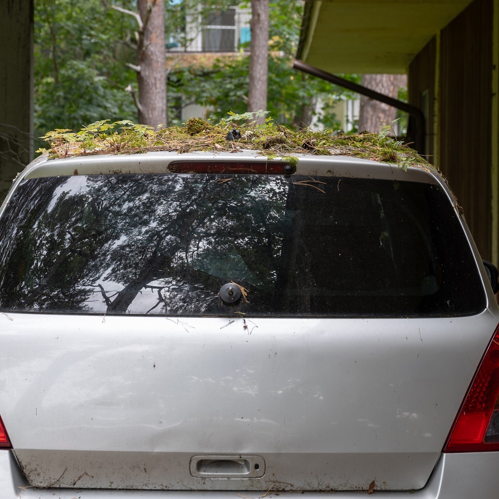 The Hidden Challenges of Restoring a Neglected Vehicle