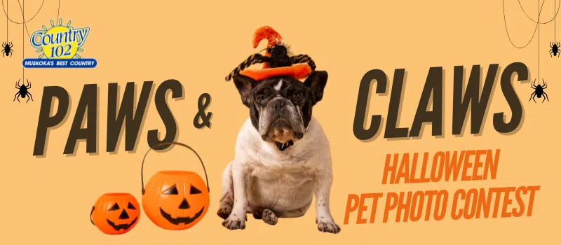 Paws & Claws Photo Contest
