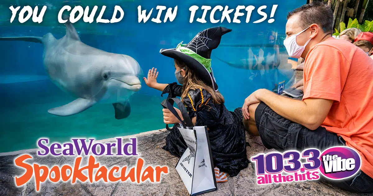103.3 The Vibe Has Your Tickets To SeaWorld Spooktacular!