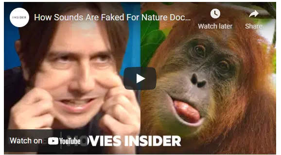 Did You Know Some of the Sounds in Nature Documentaries Are Fake?