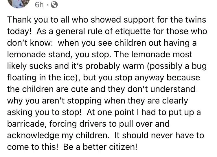 A Mother Made a Roadblock to Force Drivers to Stop at Her Kids' Lemonade Stand