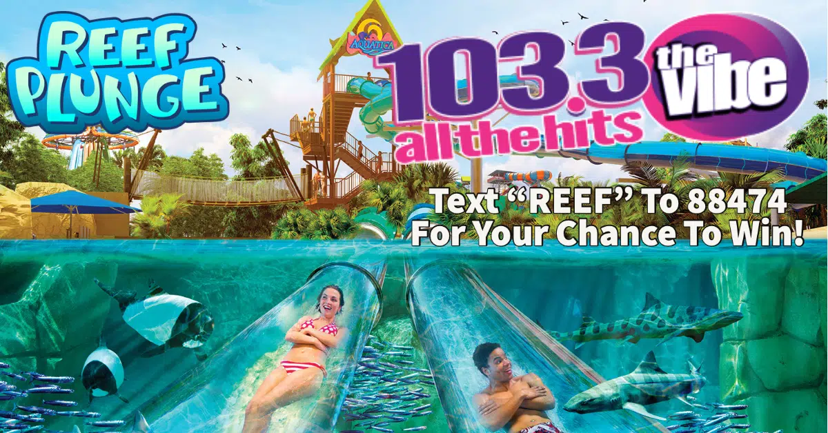 103.3 The Vibe Wants To Send You To Sea World Aquatica | Text "REEF" To 88474 For Your Chance To Win!