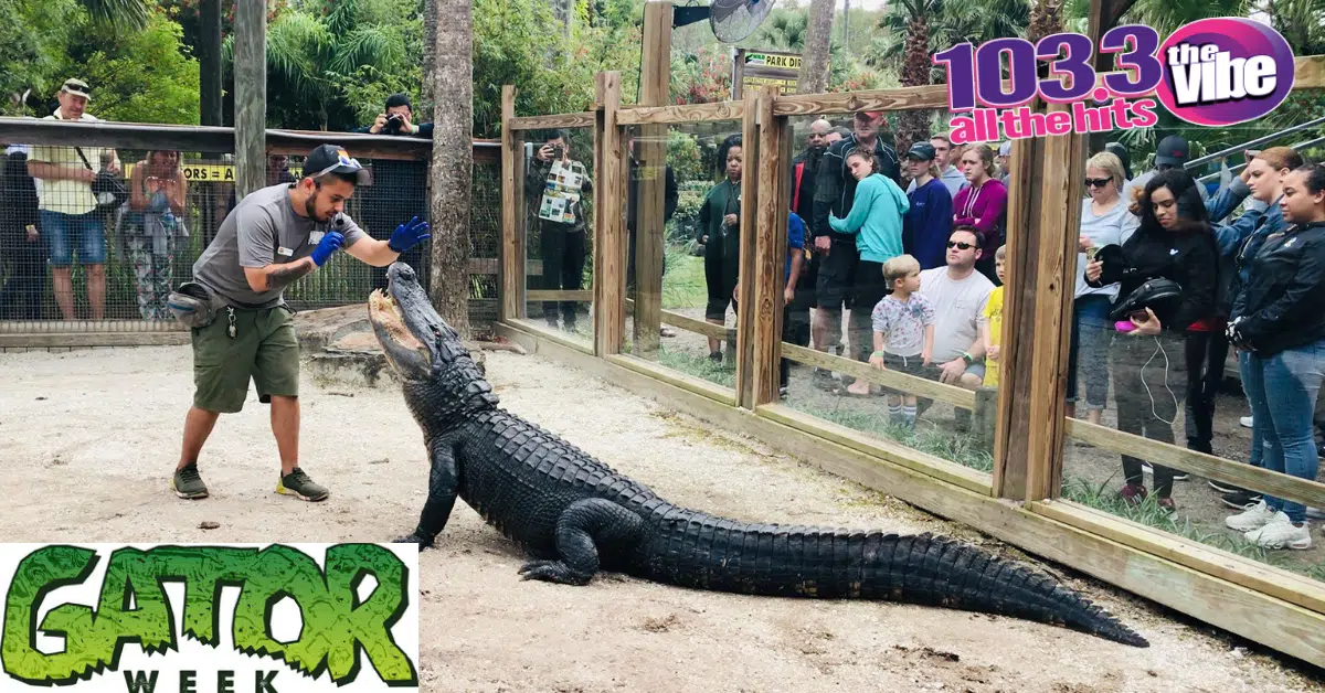 103.3 THE VIBE Wants To Send You To WILD FLORIDA | Text "GATOR" To 88474 For Your Chance To Win!