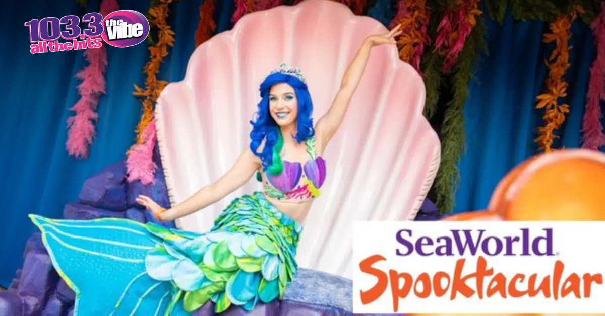 103.3 THE VIBE Wants To Send You To SEAWORLD SPOOKTACULAR