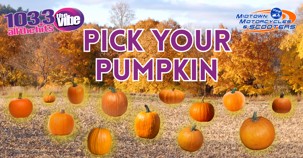 Pick a Pumpkin on The Morning Vibe!