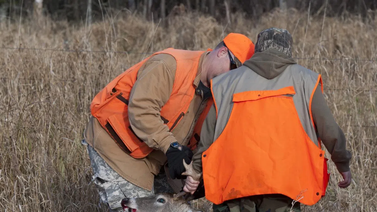 Michigan deer firearm season begins Saturday