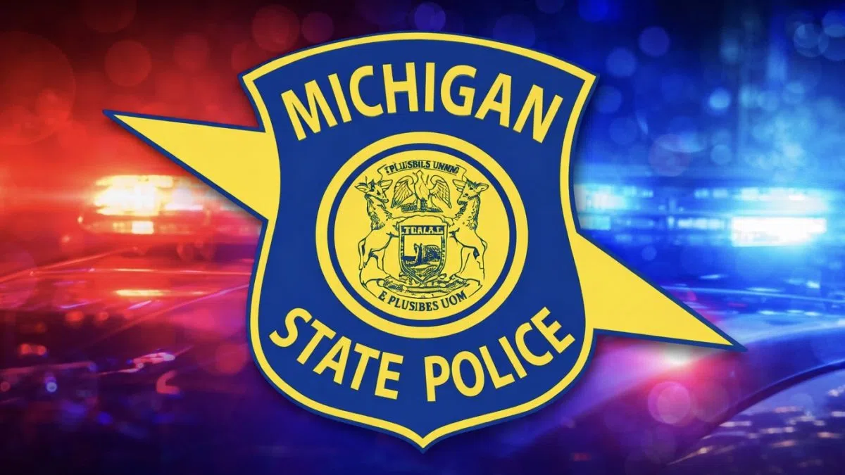 Woman struck by Hillsdale County utility vehicle, air lifted to Ohio hospital