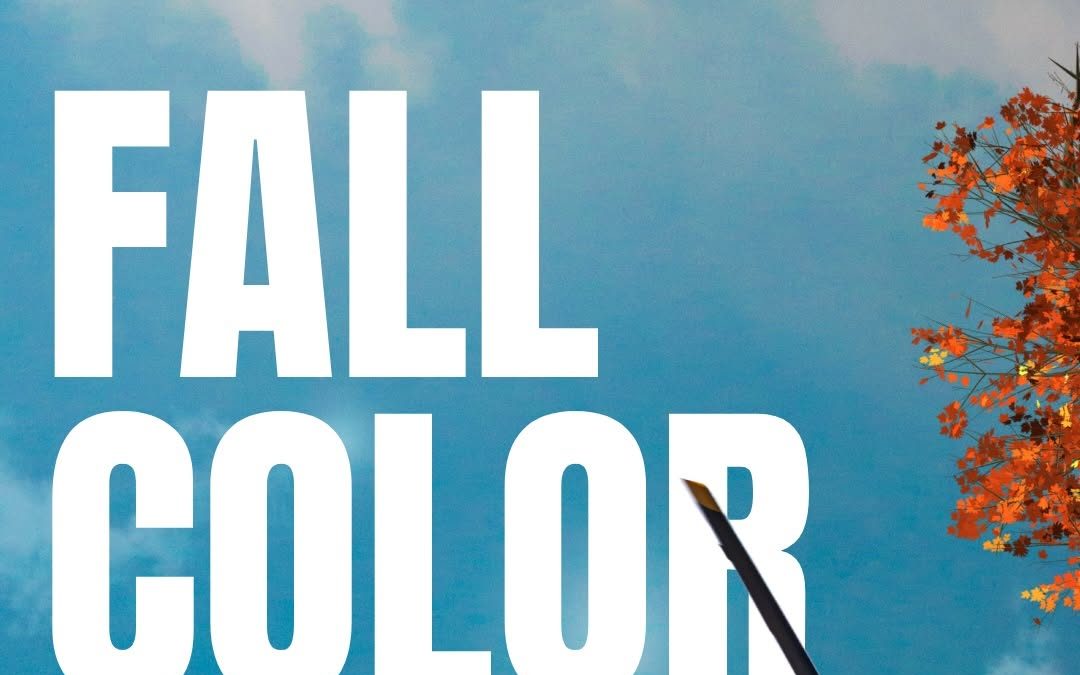 Business Beat : Areal fall foliage tours available in Branch County