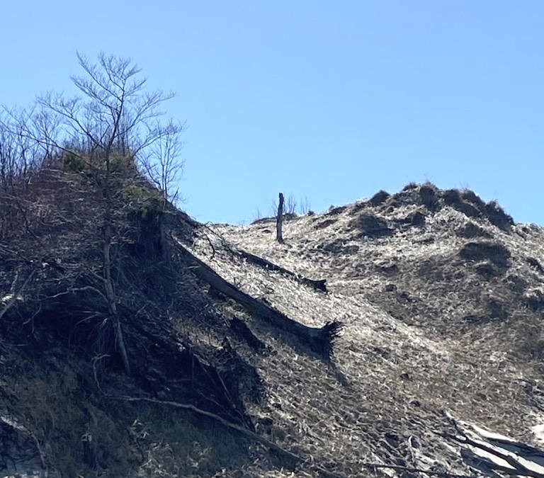 Laketown Township Expands Dune-Grass Planting - Vimarsana News