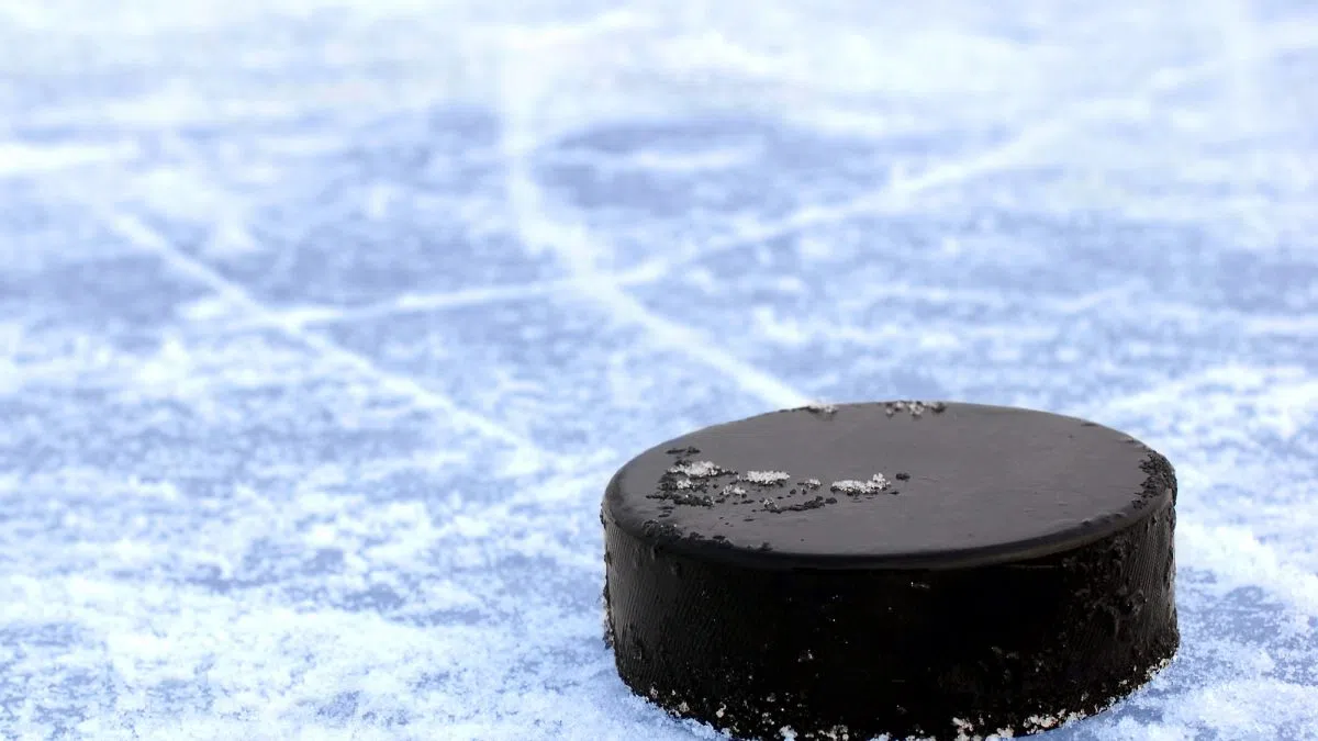 Tuesday Triumphs for Red Wings, Blackhawks & Griffins | 1450 AM 99.7 FM WHTC Tuesday Triumphs for Red Wings, Blackhawks & Griffins | 1450 AM 99.7 FM WHTC