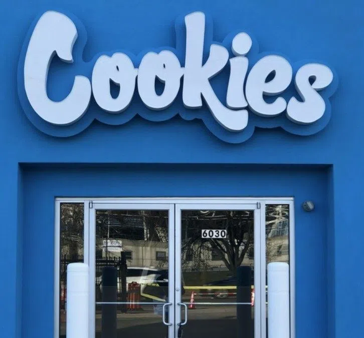 236 employees to be laid off as cannabis company plans to close 20 Michigan dispensaries