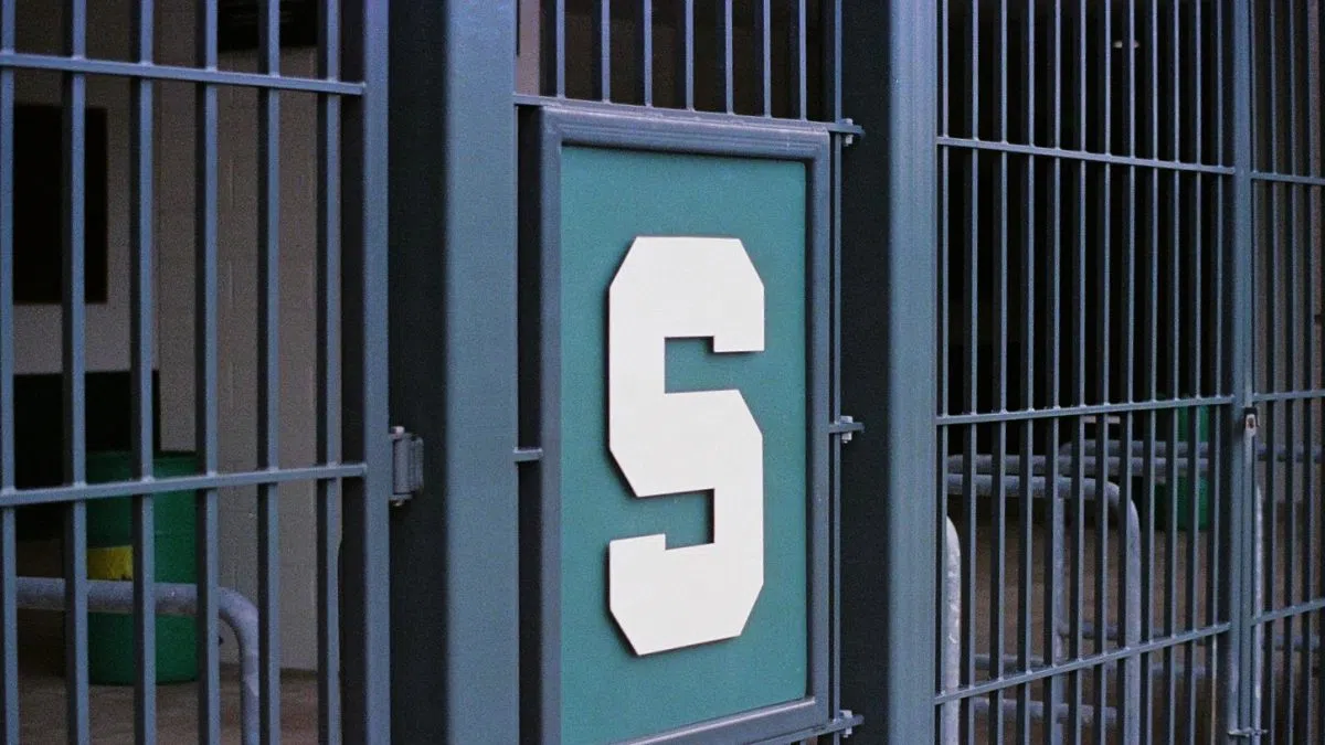 Rivalry game in East Lansing to bring in lots of financial stimulation for mid-Michigan