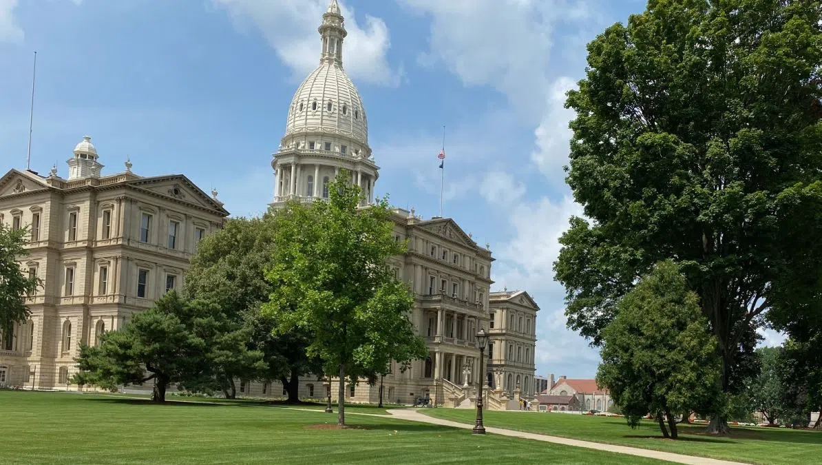 Michigan House committee holds hearing on gender-affirming care for minors