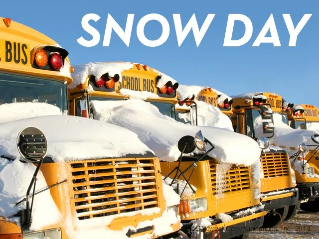 Heavy snow causes cancellations across mid-Michigan