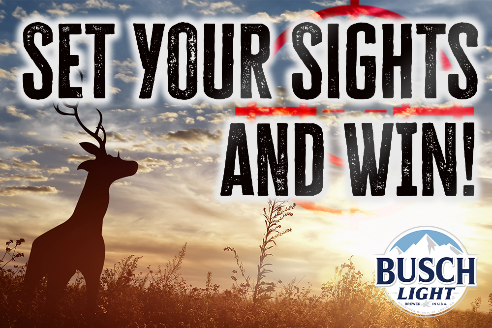 Set Your Sights