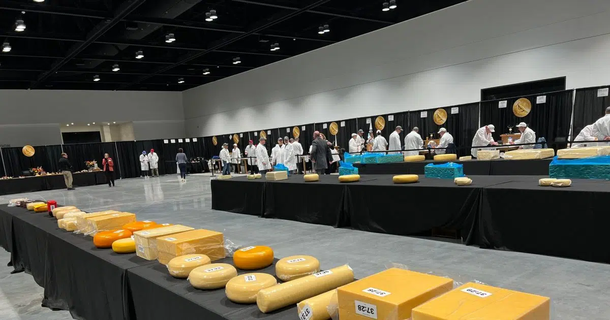 Northeast Wisconsin cheesemakers vie for title at World Championship Cheese Contest