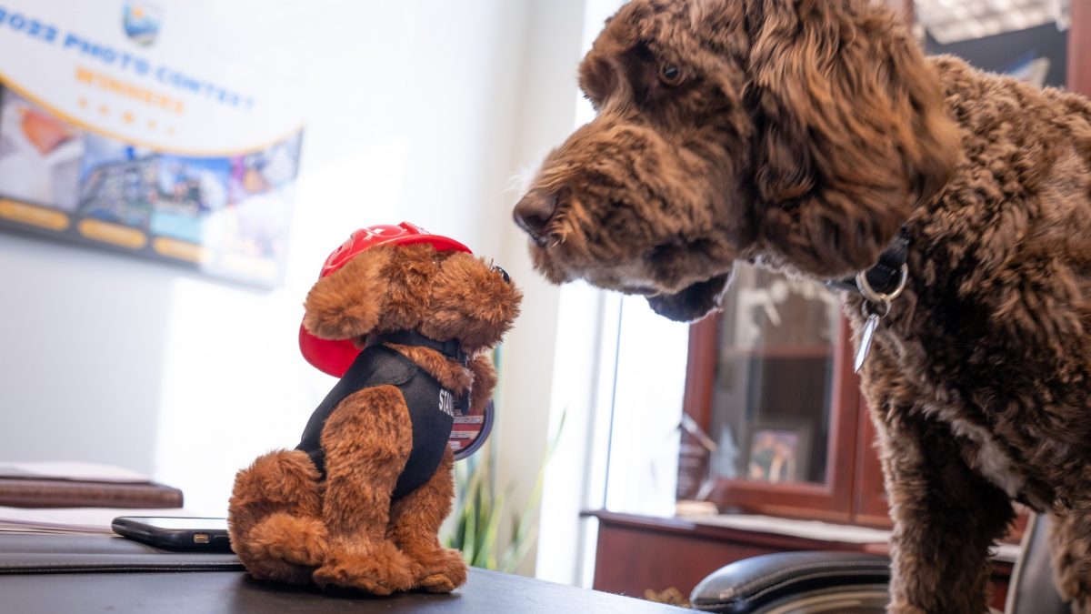 De Pere Fire Department Selling Stanley Stuffed Animals Ahead of Holiday Season - Vimarsana News