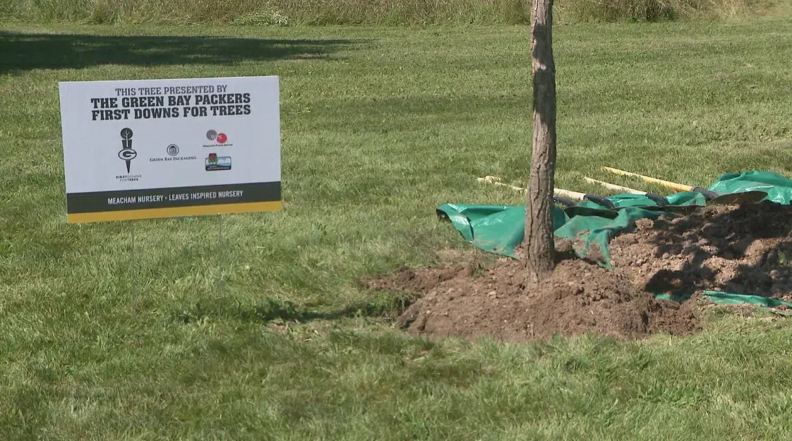 Over 400 trees were donated this year as part of the Packers’ First Downs for Trees program | WTAQ News Talk | 97.5 FM · 1360 AM