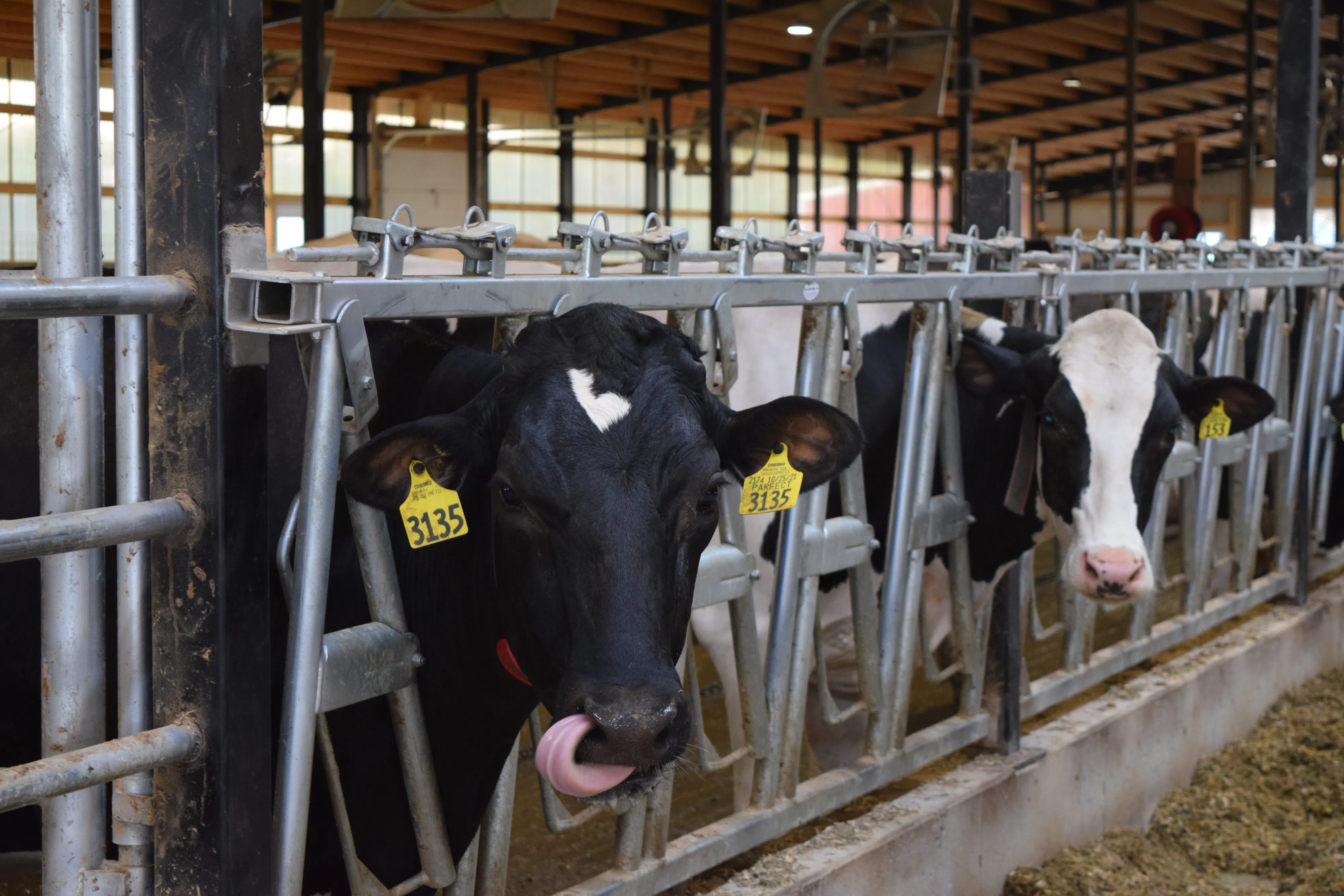 DATCP Dairy Processor Grants Awarded and Next Application Period 