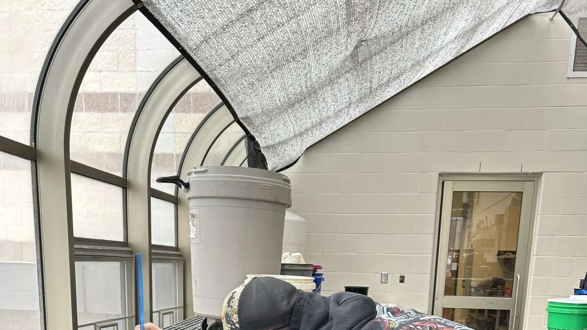 Wisconsin FFA Foundation Awards Over $19,000 in SAE Grants