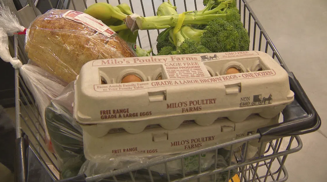 New grant links Wisconsin farmers with food banks to boost nutrition and community support