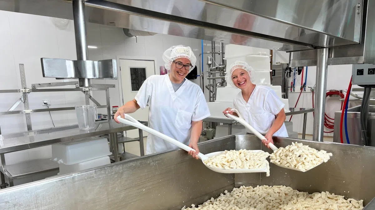 Dairy Business Innovation Alliance Grants Open February 23