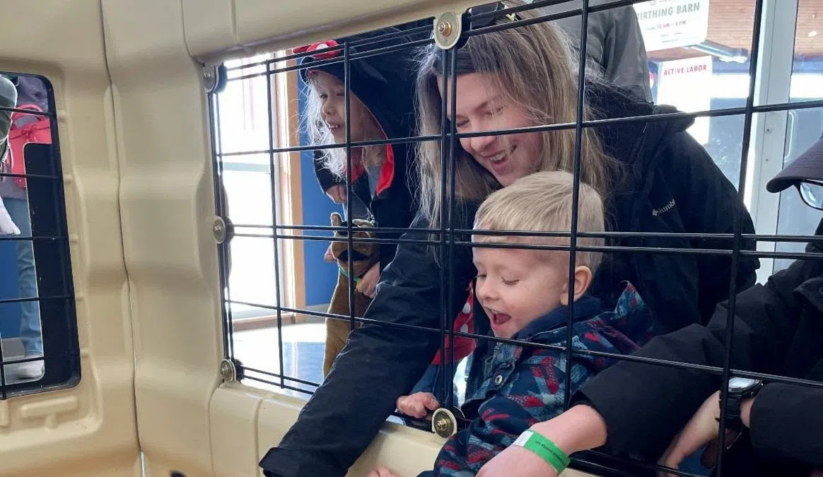 Piglet Day Returns to Farm Wisconsin Discovery Center on Feb. 14