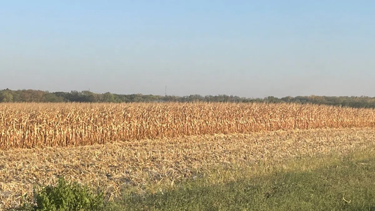 Solid Harvest Week; but Thursday Field Fire affects 15 Standing Corn Acres South of Vermilion Regional Airport
