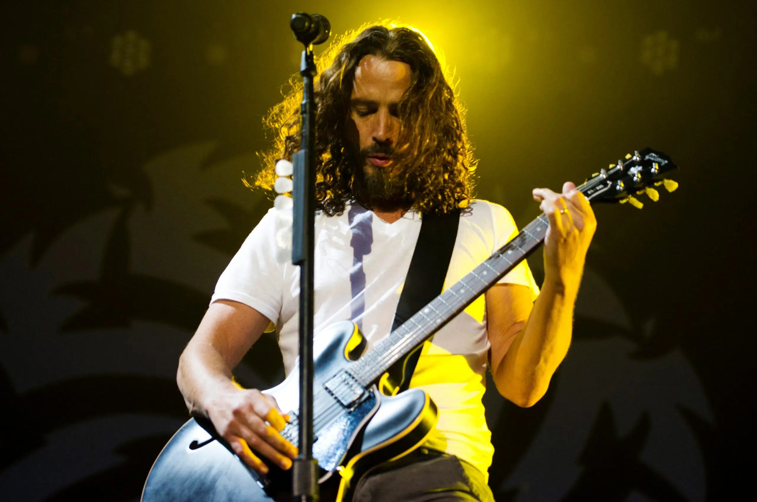 chris cornell 2023