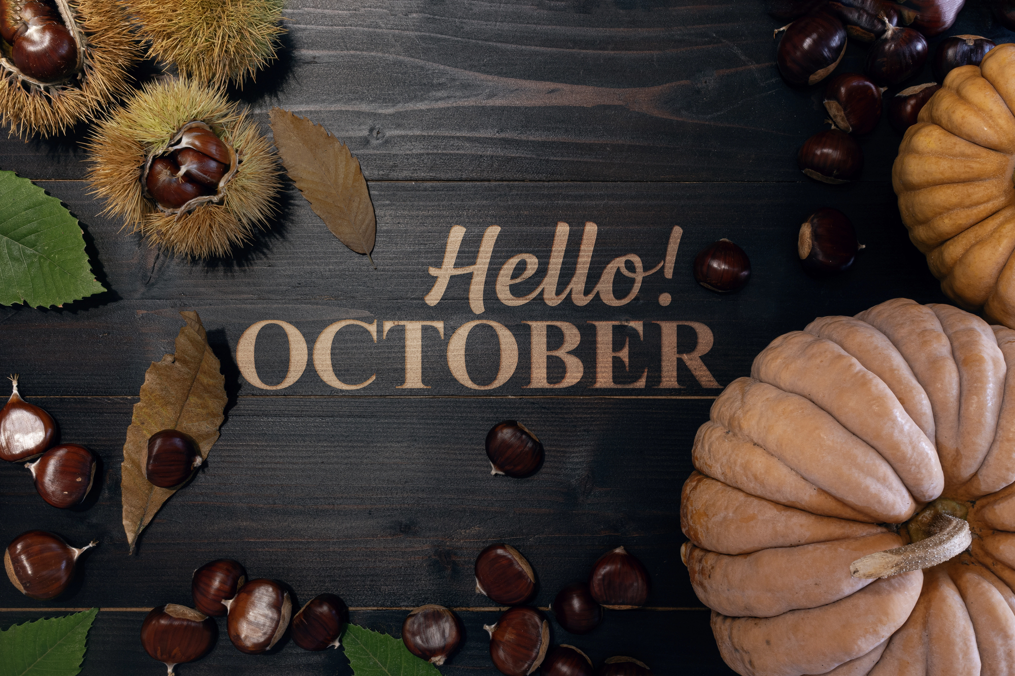 Four Things to Look Forward to This October