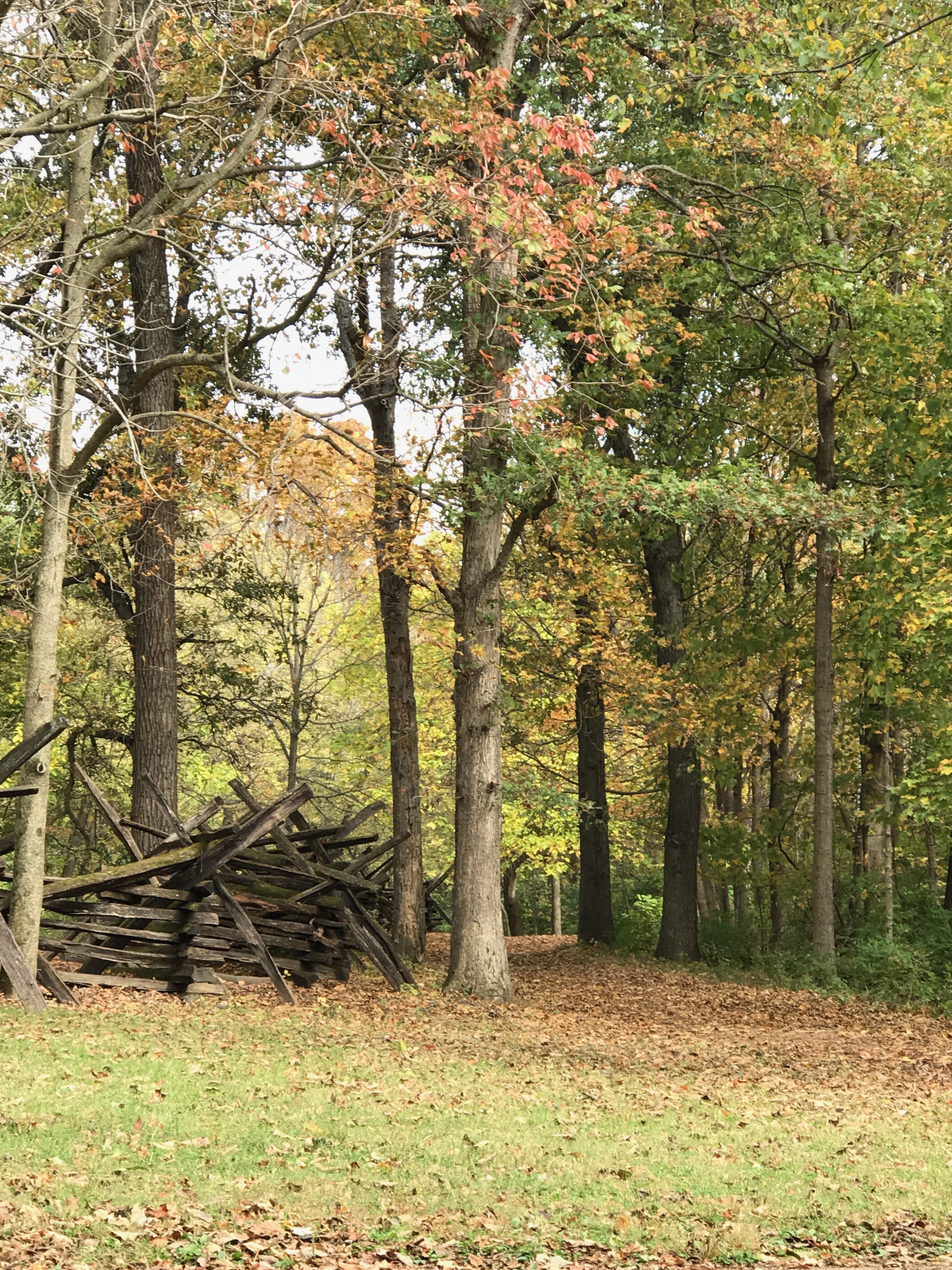The Weekender for Oct. 2-4, 2026: Candlelight Walk, Jersey Boys & Fall Fun
