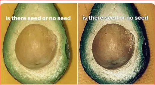 Seed - No Seed?