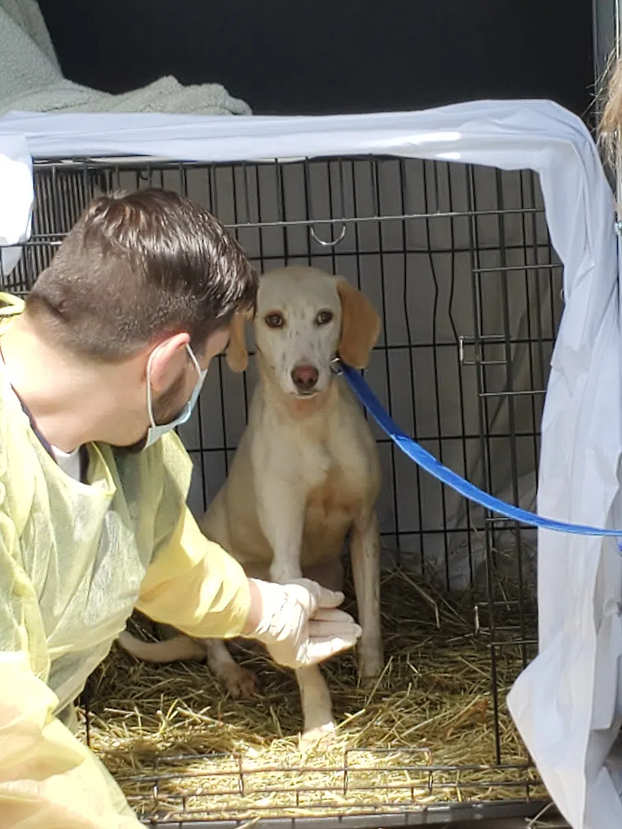 Orangeville SPCA Helps Re-homing Mission