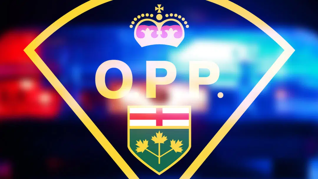 Fatal Accident in Melancthon
