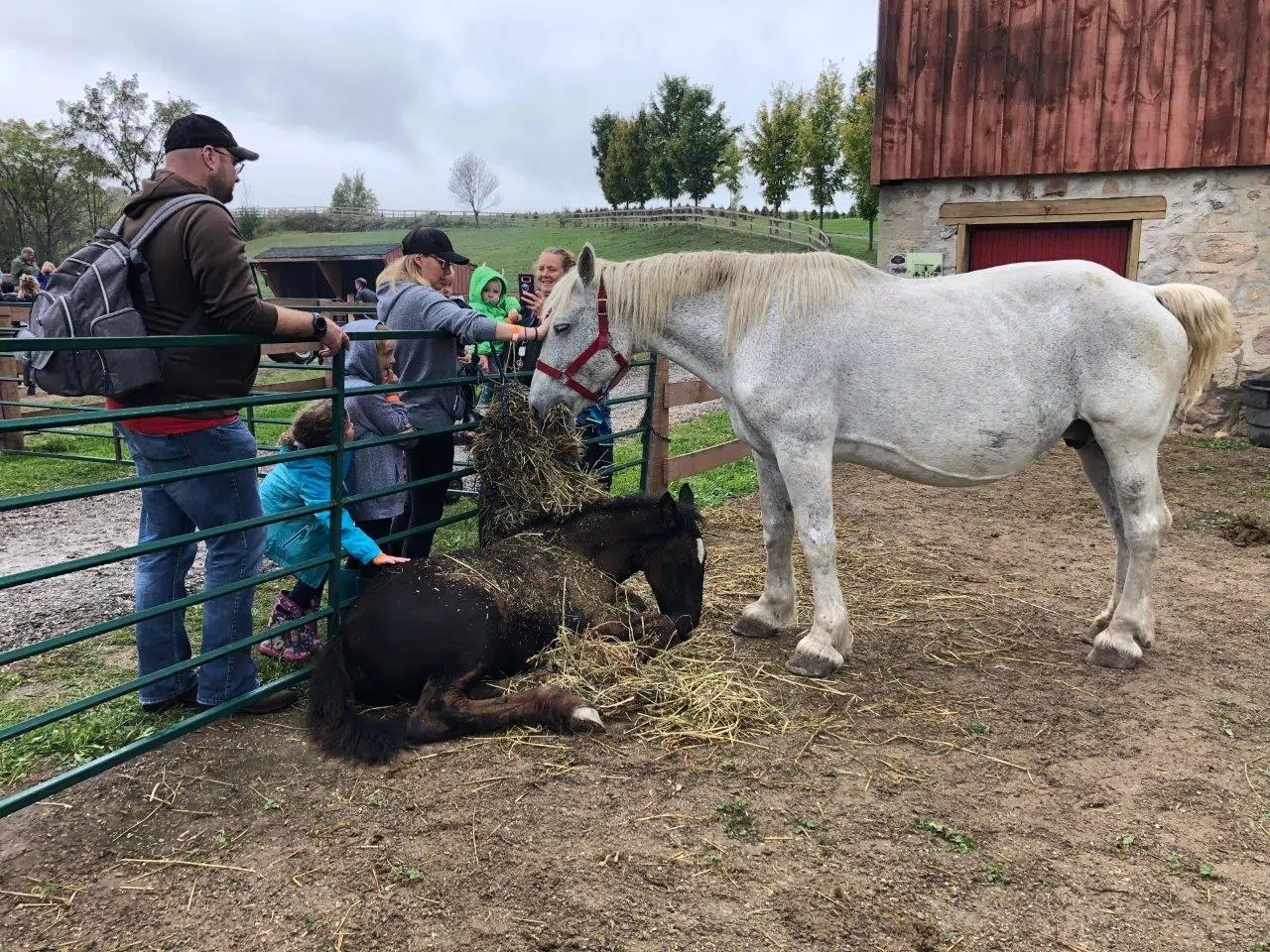 Dufferin Farm Tour Returns
