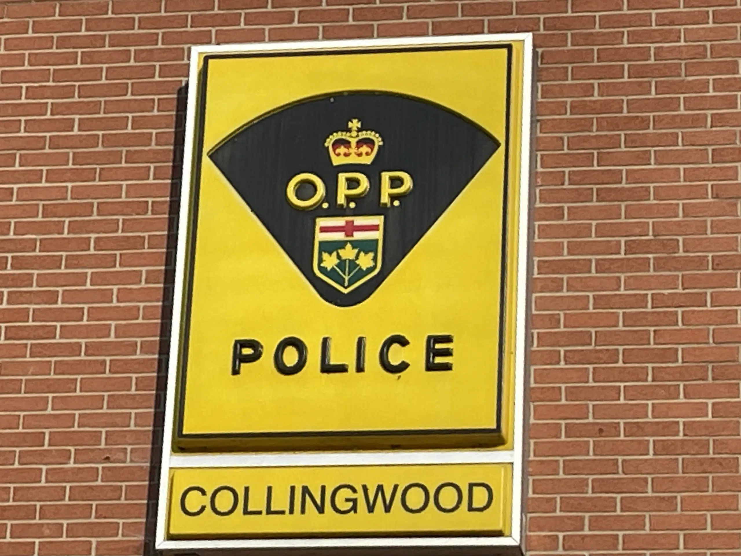 Collingwood Homicide Suspect Arrested